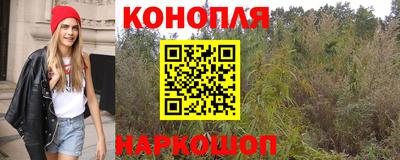 PSILOCYBIN Славгород