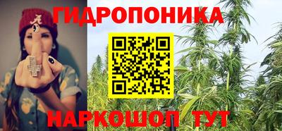 прущие грибы Ставрополь