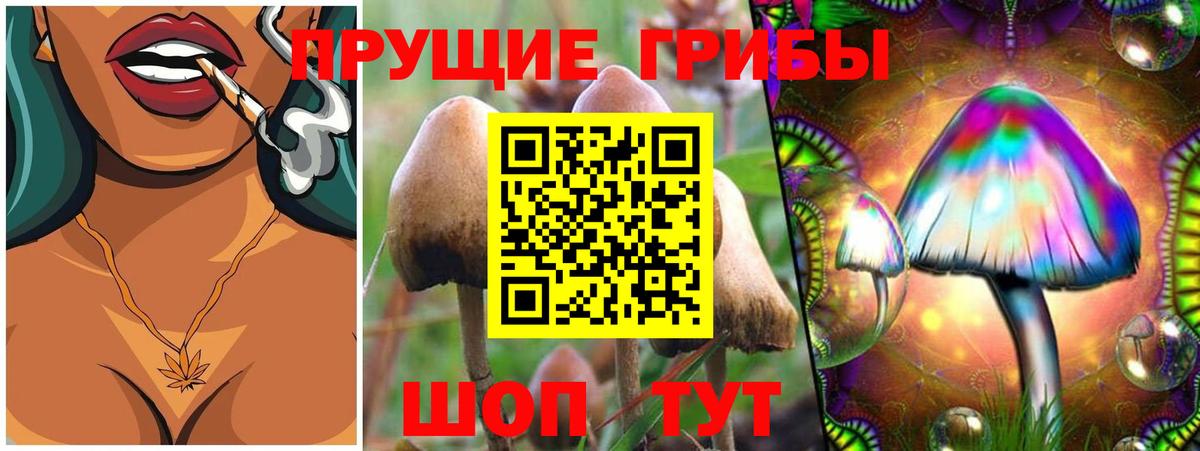 Феодосия  Галлюциногенные грибы Magic Shrooms  Галлюциногенные грибы Psilocybine cubensis  Вход с VPN 